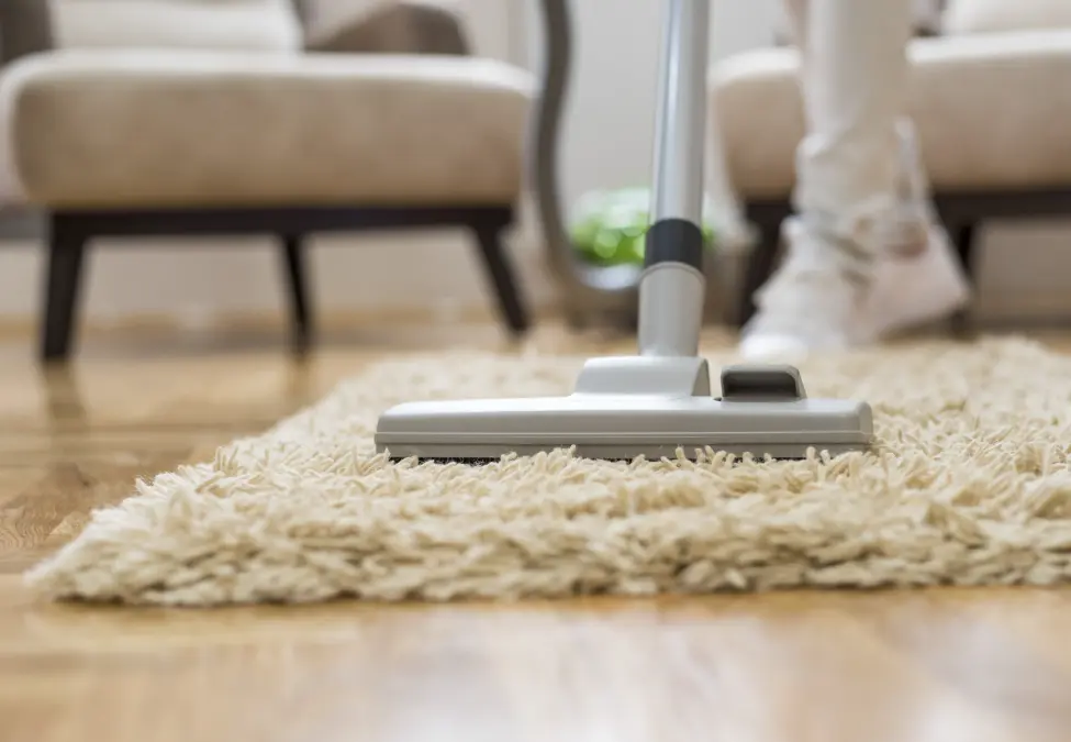 CARPET CLEANING