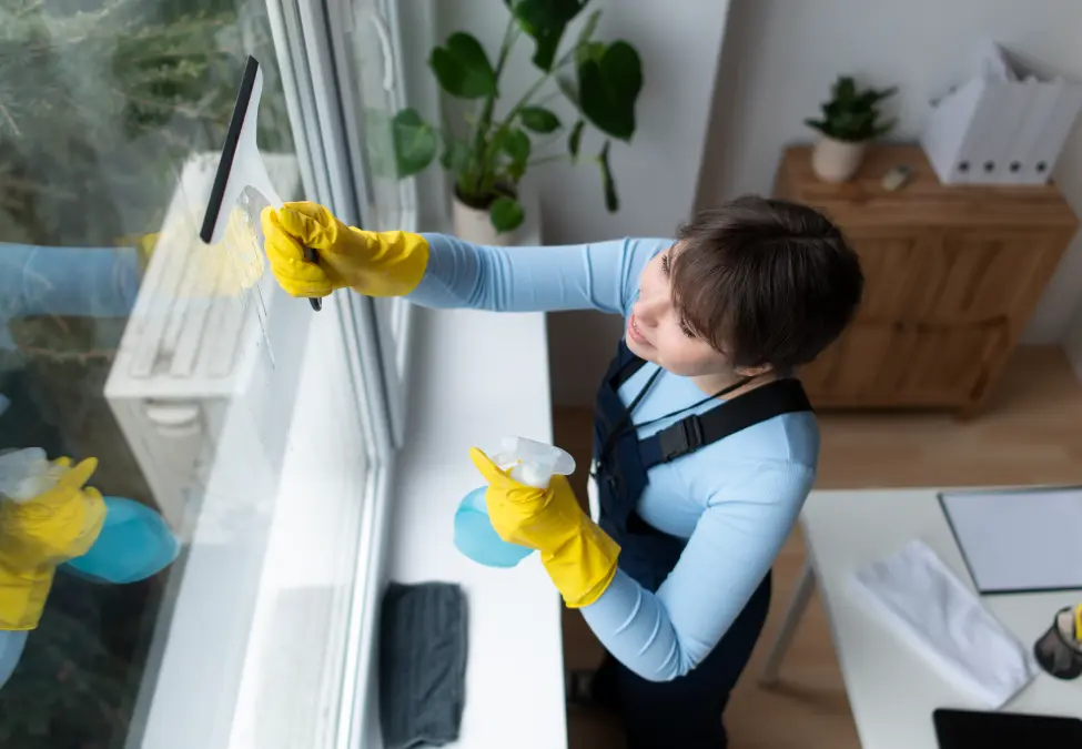 Window Cleaning